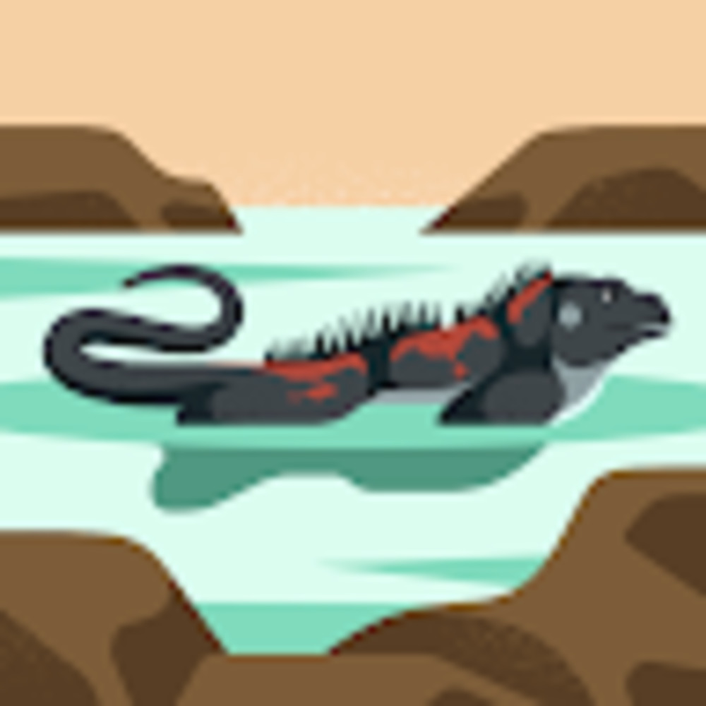 Meet your Posher, Henry